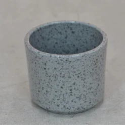 Übertopf SPRINKLE PARTY Für 6cm Sukkulenten