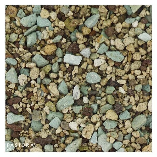 Sukkulentensubstrat, 2,5l 2 Sukkulentensubstrat, 2,5l – Bild 2