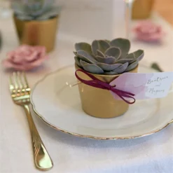 Übertopf GOLD Für 6cm Sukkulenten 7 Übertopf GOLD Für 6cm Sukkulenten -Pflanzfreu Verkaufsgeschäft uebertopf gold fuer 6cm sukkulenten