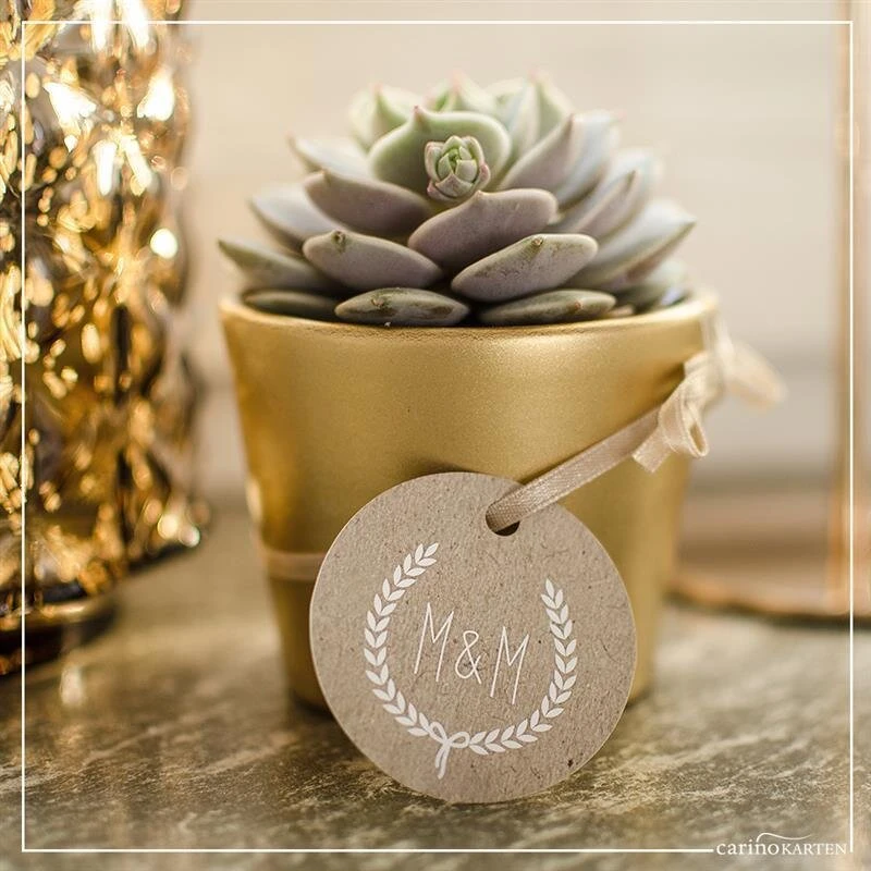 Übertopf GOLD Für 6cm Sukkulenten 2 Übertopf GOLD Für 6cm Sukkulenten – Bild 2