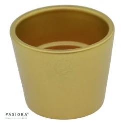 Übertopf GOLD Für 6cm Sukkulenten 9 Übertopf GOLD Für 6cm Sukkulenten -Pflanzfreu Verkaufsgeschäft uebertopf gold fuer 6cm sukkulenten5