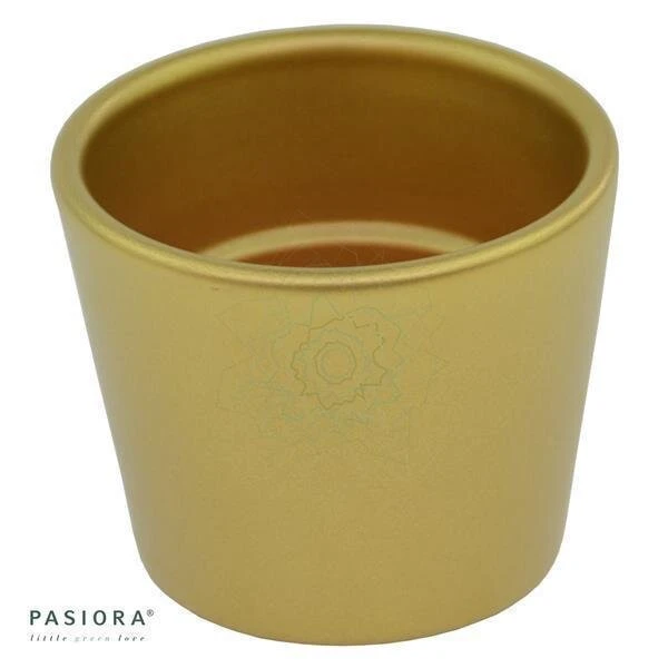 Übertopf GOLD Für 6cm Sukkulenten 5 Übertopf GOLD Für 6cm Sukkulenten – Bild 5