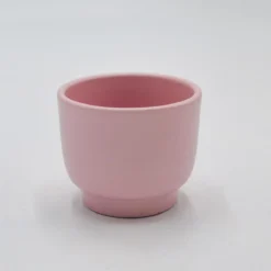 Übertopf TULIP Rosa Für 6cm Sukkulenten